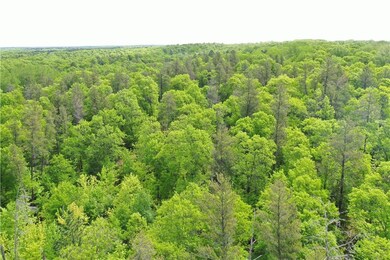 0 Otis Rd, Oakland, WI 54830 - photo 4