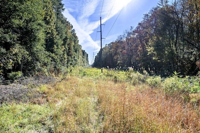 2515 Joseph Pearline Rd, Johns Island, SC 29455 - photo 2