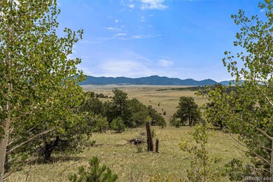 194 Rawhide Way, Como, CO 80432 - photo 7