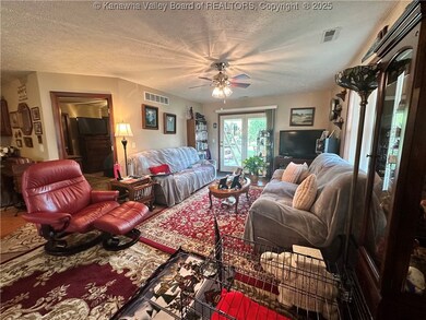 1116 Front St, Ravenswood, WV 26164 - photo 3