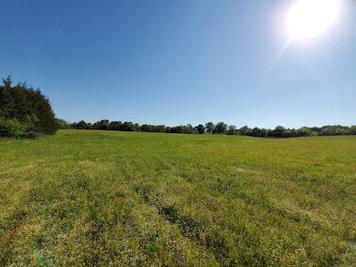 190 Temple Ford Rd, Shelbyville, TN 37160 - photo 7