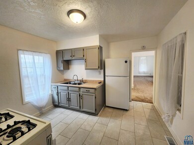 115 S Rustin St, Sioux City, IA 51105 - photo 4