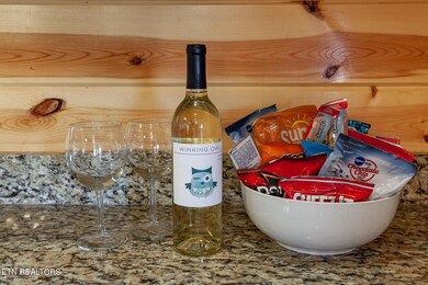 3708 Tilda Hilltop Way, Pigeon Forge, TN 37862 - photo 3