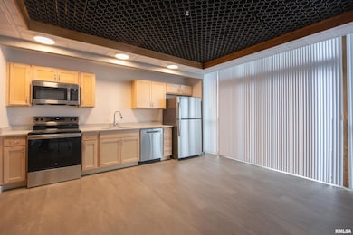 509 9th St unit 304, Dewitt, IA 52742 - photo 3