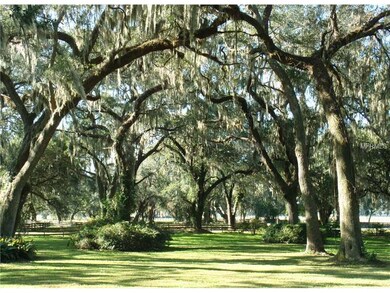 3524 County Road 204, Oxford, FL 34484 - photo 2