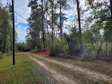 188 Private Road 8040, Kirbyville, TX 75956 - photo 7