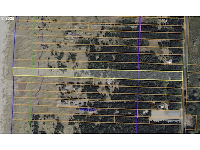 11119 Pacific Way, Long Beach, WA 98631 - photo 3