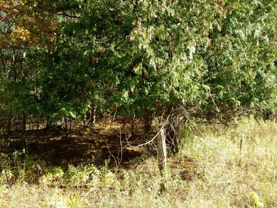 IMG_20171019_155036208