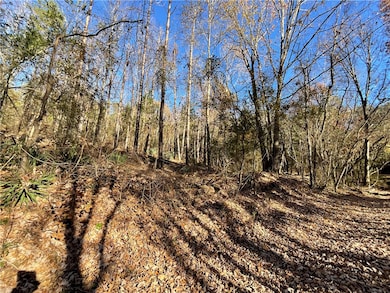 0 Prater Farm Rd, Seneca, SC 29678 - photo 3