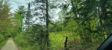 Lot 19 Scrag Mountain Rd, Sugar Hill, NH 03586 - photo 3