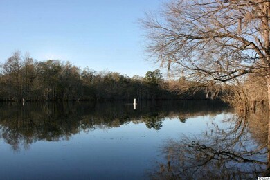1467 S Carolina 319, Conway, SC 29526 - photo 3