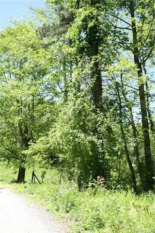 TBD Seay Rd, Lower Hominy, NC 28715 - photo 4