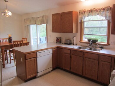 13385 Burroughs St, Lowell, MI 49331 - photo 2