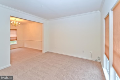 4717 River Creek Terrace, Beltsville, MD 20705 - photo 3