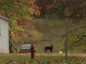 4476 E North Rd, Greensburg, IN 47240 - photo 3