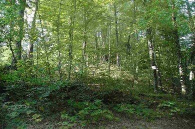 528 Berry River Rd, Barrington, NH 03825 - photo 3