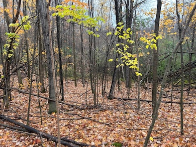 ON Sunset Rd, Elcho, WI 54428 - photo 3