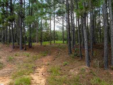 08 Neal Shoals Rd, Union, SC 29379 - photo 3