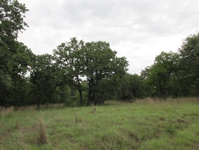 7800 Old Agnes Rd, Poolville, TX 76487 - photo 7