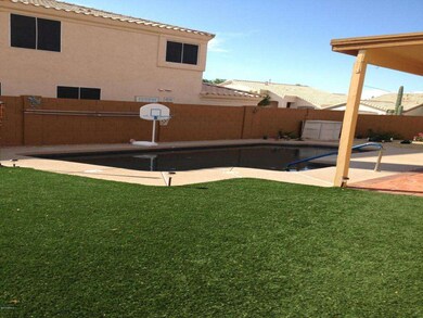 Back Yard Turf