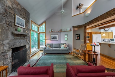 20 Mine Hill Rd E, Bridgewater, CT 06752 - photo 7