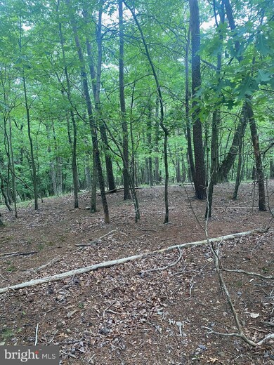 0 Big Sky Ln unit WVMO118606, Berkeley Springs, WV 25411 - photo 7