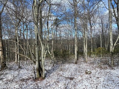 0 Parkwood Dr unit PWBPW240690, Hawley, PA 18428 - photo 5