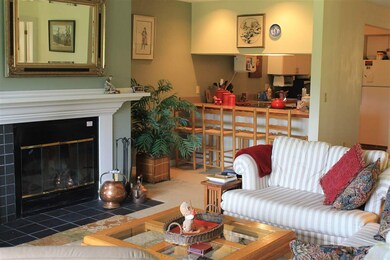 92 Noon Peak Rd unit D-1, Waterville Valley, NH 03215 - photo 4