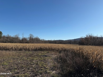 2075 Switzkill Rd, Berne, NY 12023 - photo 7