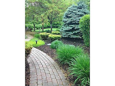 Yard/Garden.