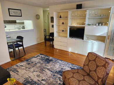 1643 Cambridge St unit 55, Cambridge, MA 02138 - photo 2
