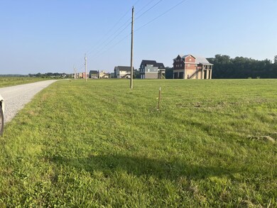 1505 Hardin Bottom River Rd, Clifton, TN 38425 - photo 7