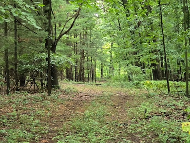 vl Lehring Rd, Durand, MI 48429 - photo 2