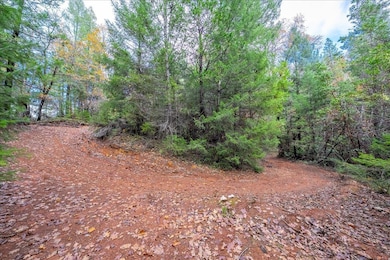 0 Kentucky Flat Rd unit 225140786, Georgetown, CA 95634 - photo 5