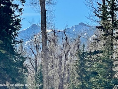 250 E Phelps Canyon Rd, Jackson, WY 83001 - photo 2