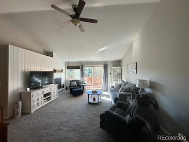 303 Virginia Rd unit C, Bailey, CO 80421 - photo 4