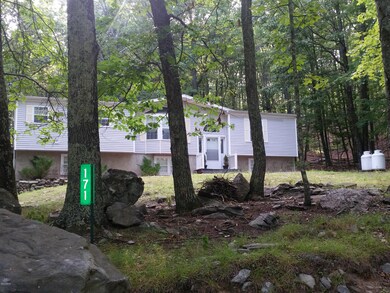 171 Chipmunk Rd, Bushkill, PA 18324 - photo 3