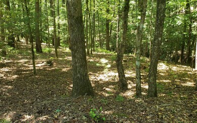 Additional View