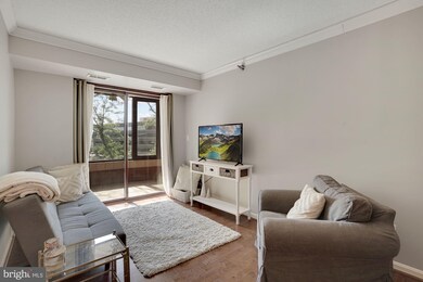 The Charleston unit 403, Arlington, VA 22201 - photo 3