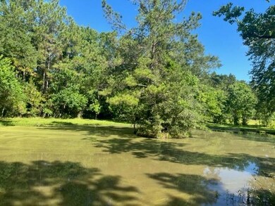 13.37 Acres Boyd Rd, Covington, LA 70435 - photo 4