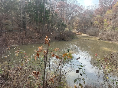 Pine Lake Dr, Batesville, MS 38606 - photo 3