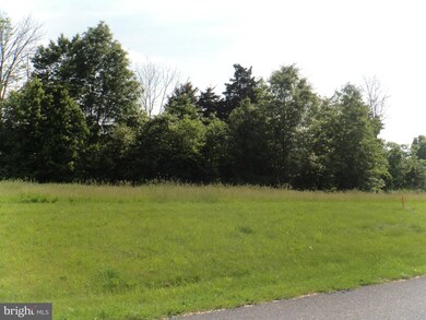LOT 2 Toms Ln, Antrim Township, PA 17225 - photo 4
