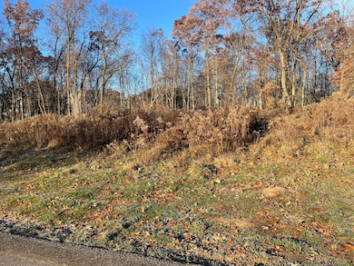 12873 Triple Oak Dr NE unit 13, Vergennes Township, MI 49331 - photo 3