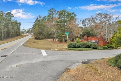5385 Mount Pleasant Church Rd unit Parcel 3, Macon, GA 31216 - photo 7