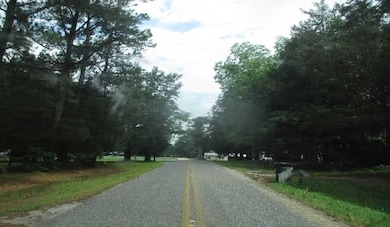 5200 Highway 62, Vincent, AL 35178 - photo 2