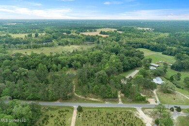 0 13 + - Ac Basin Central Rd, Lucedale, MS 39452 - photo 2