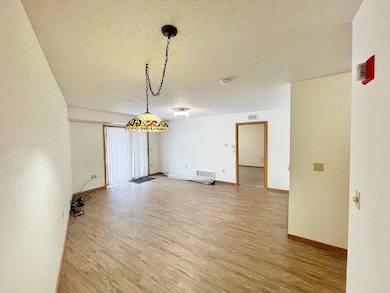 401 S County Road 5 unit 112, Springfield, MN 56087 - photo 4