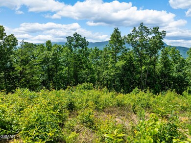 648 Almost Heaven Way, Gatlinburg, TN 37738 - photo 4