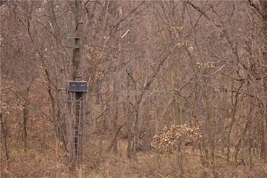 32184 E 327th Ln, Ridgeway, MO 64481 - photo 4