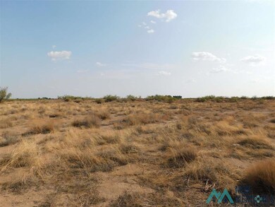 0 Earl Scott Trail SW unit 20213932, Deming, NM 88030 - photo 2